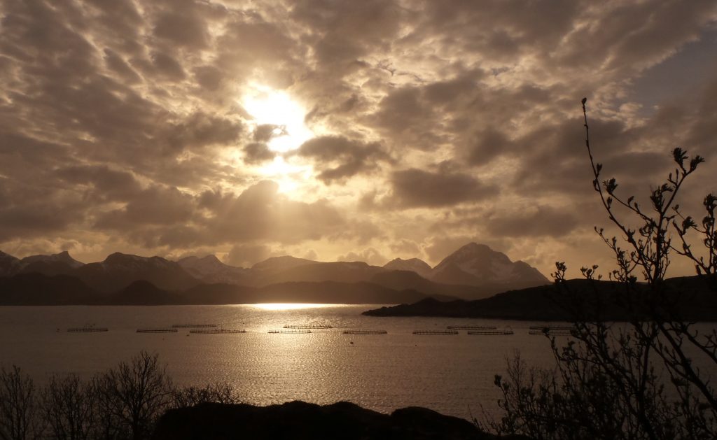 sole di mezzanotte isole lofoten