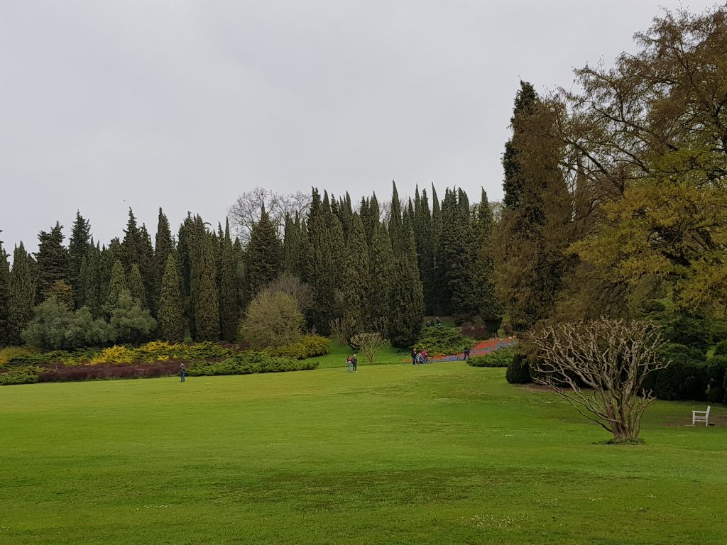 Il grande tappeto erboso