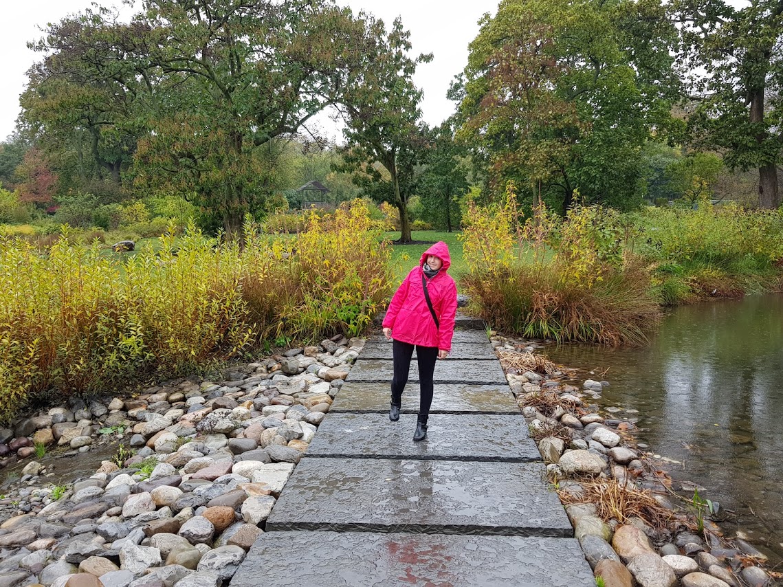 Il Brooklyn Botanical Garden sotto la pioggia