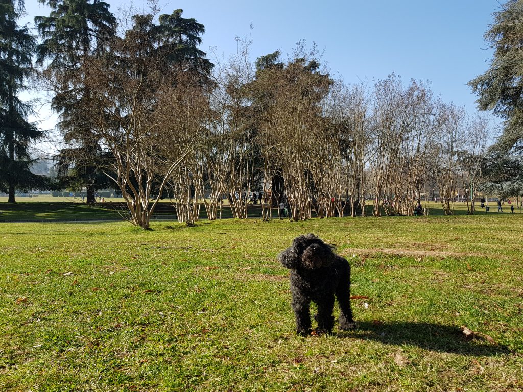 parco della Montagnola a Bologna