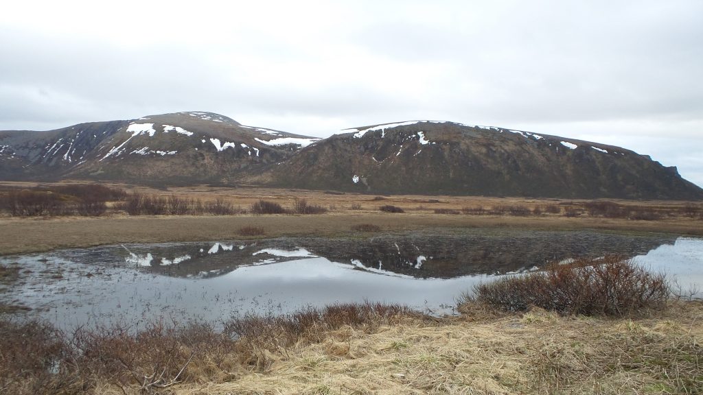 I paesaggi delle isole Lofoten
