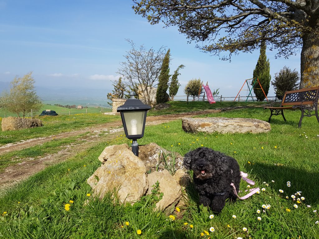 Cane agriturismo lucciola bella