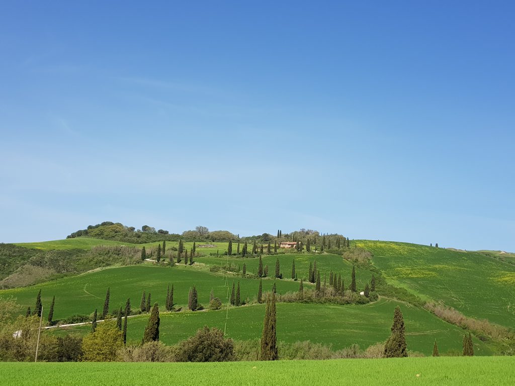 Il viale con i cipressi della Riserva Naturale Lucciola Bella