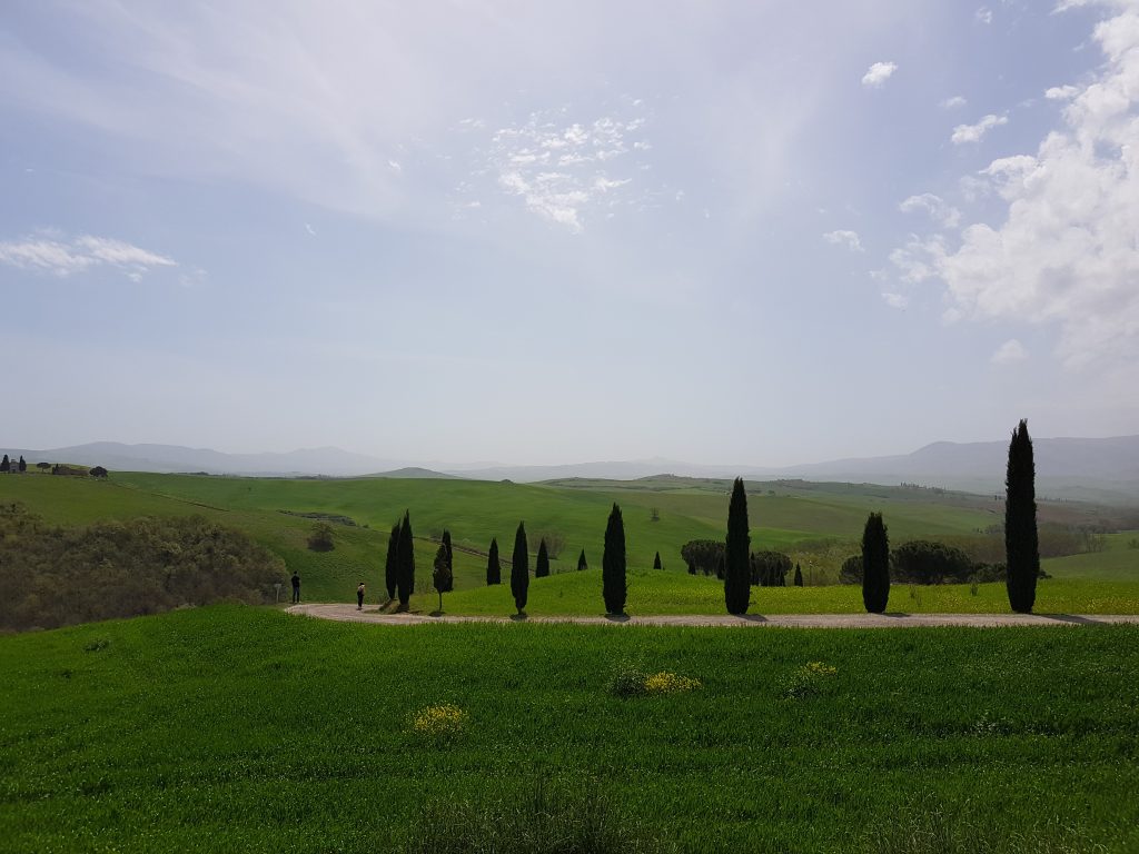 I cipressi della Val d'Orcia