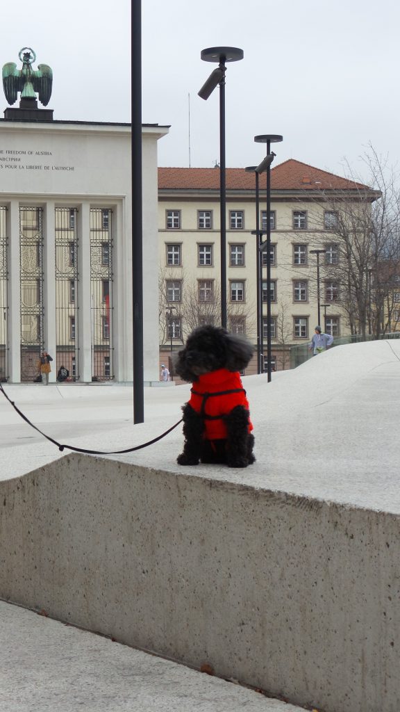 Dove andare in vacanza con il cane: Innsbruck