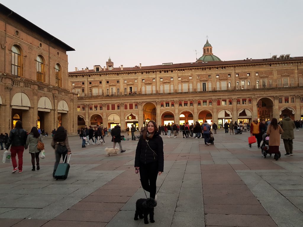 Dove andare in vacanza con il cane: Bologna