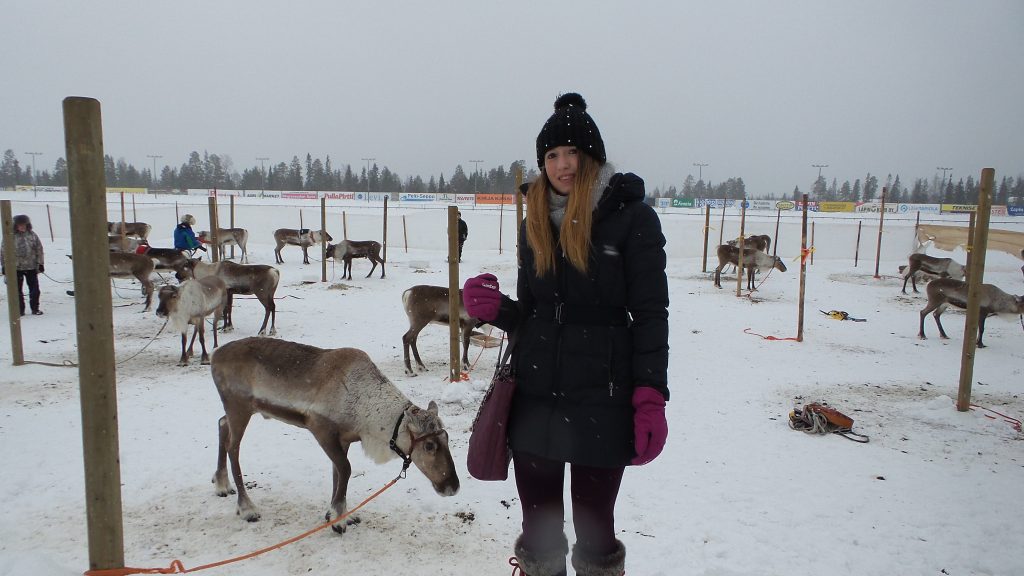 Cosa vedere a Rovaniemi le renne