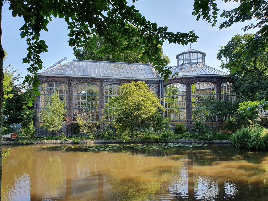 Cosa vedere nel quartiere Plantage ad Amsterdam: Hortus Botanicus