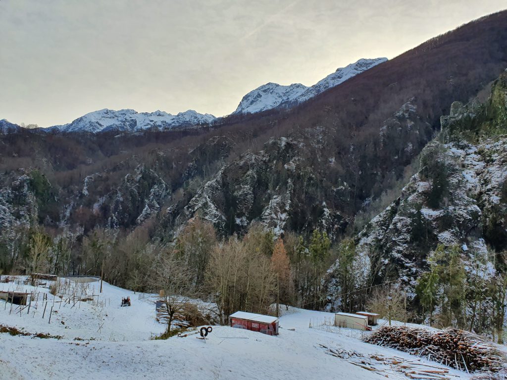 La neve lungo la Ferrovia Vigezzina Centovalli
