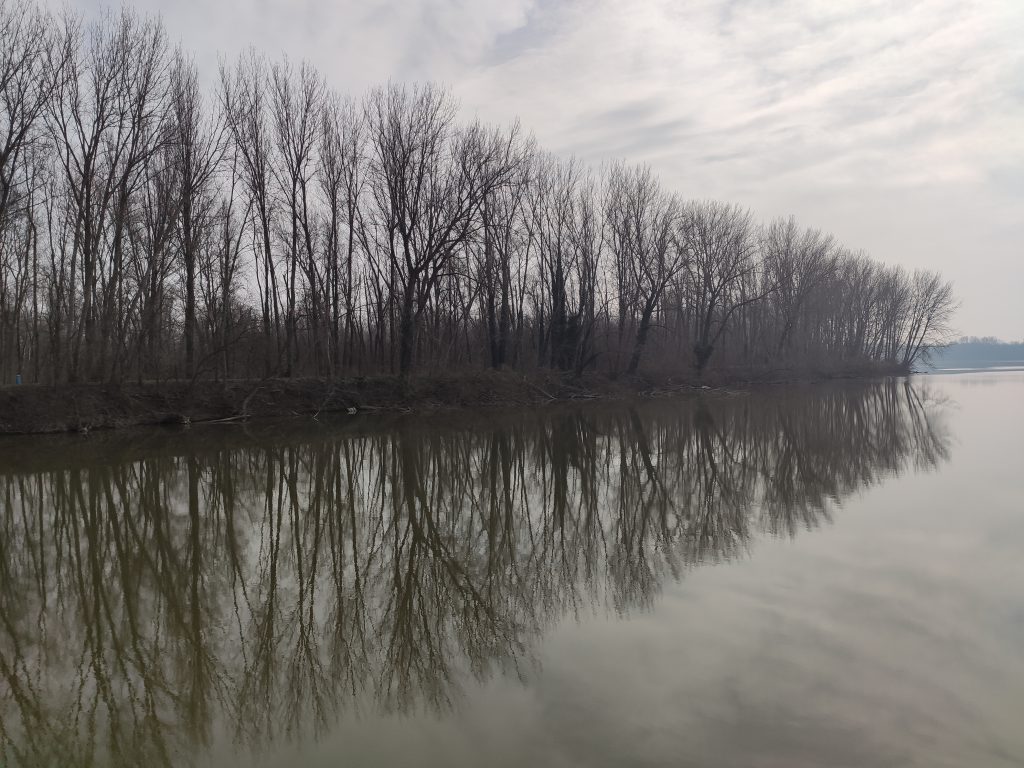 Il parco Naturale del Mincio