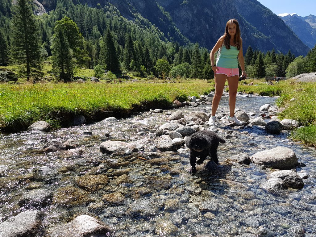 Gita con il cane in Lombardia: Val di Mello