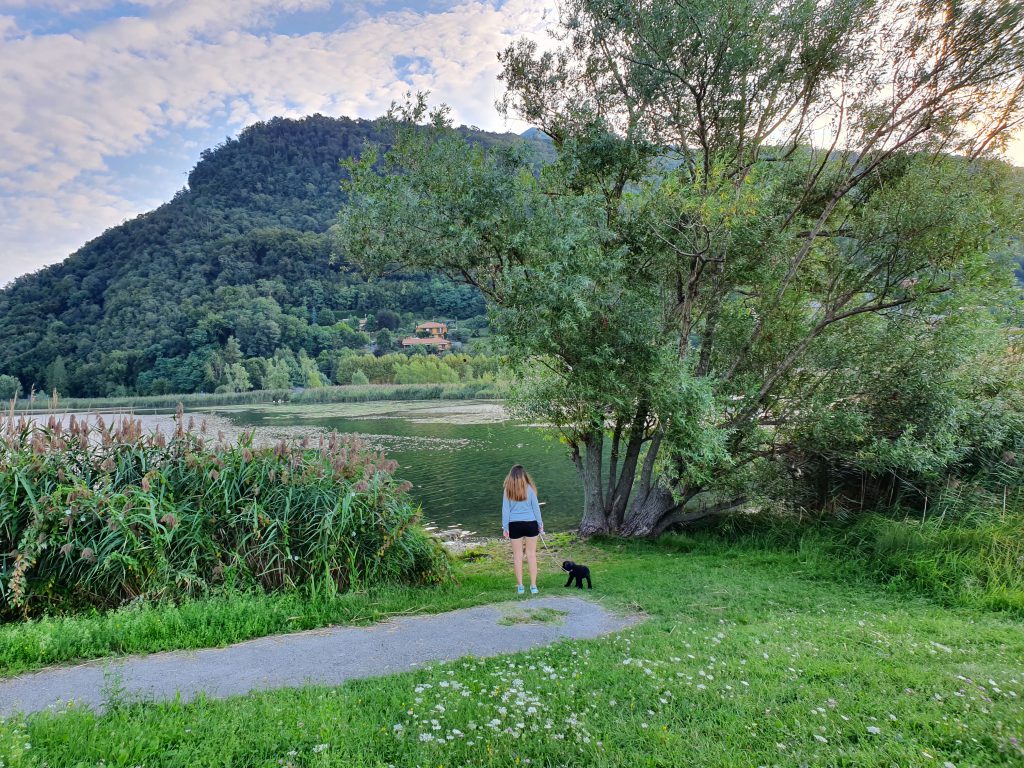 Gita con il cane in Lombardia: Lago del Segrino