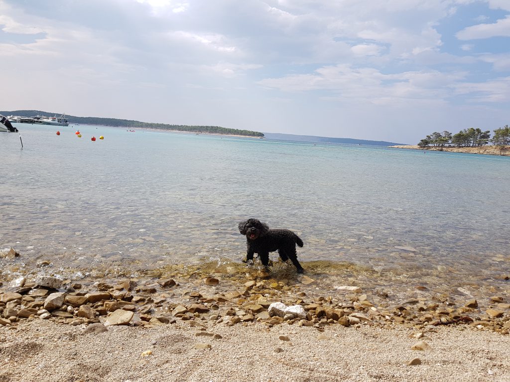 Lizzie sulla spiaggia