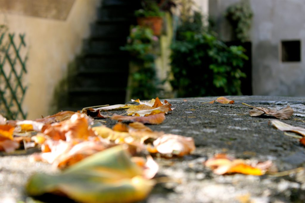 Dove vedere il foliage in Italia: il Lazio