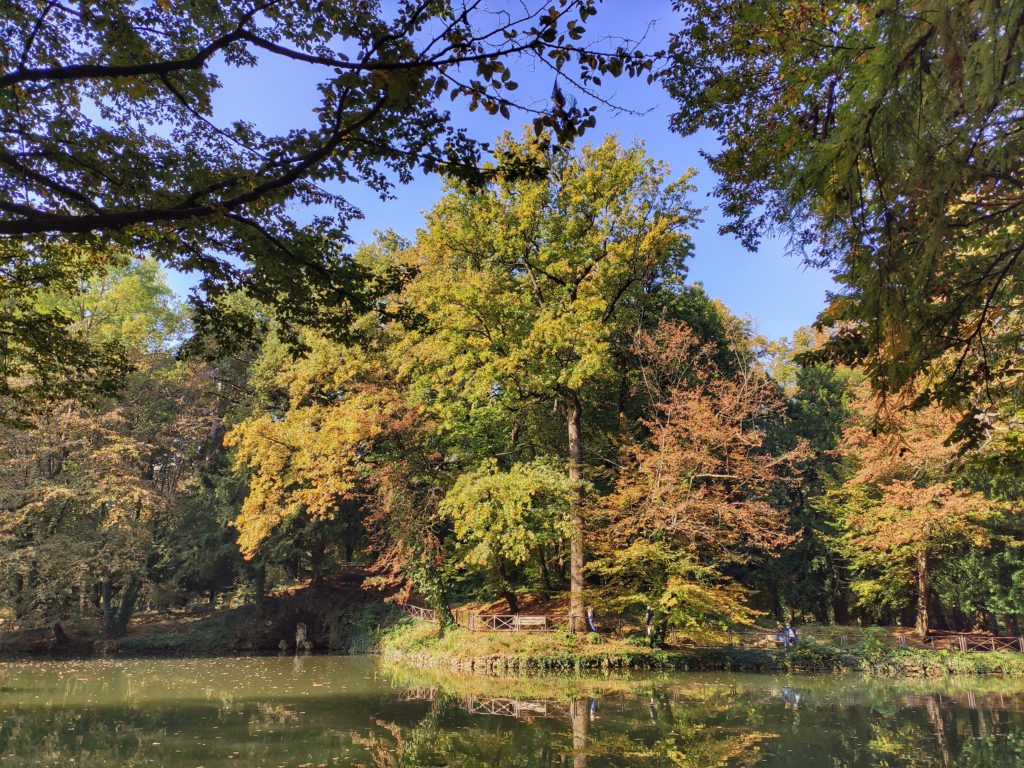Il foliage in Lombardia al Parco di Monza