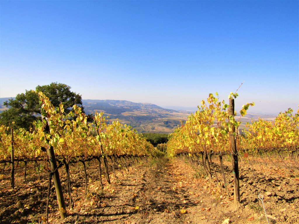 Dove vedere il foliage in Toscana: la Val d'Orcia