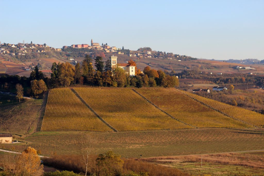Ammirare il foliage nelle Langhe, in piemonte