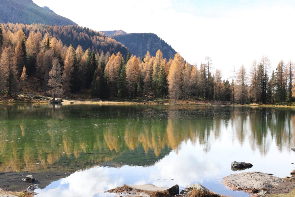 Dove vedere il foliage in Italia: Passo San Pellegrino