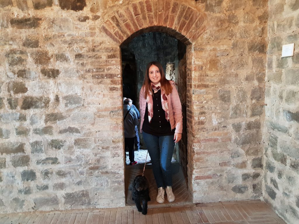 Le mura della fortezza di Montalcino