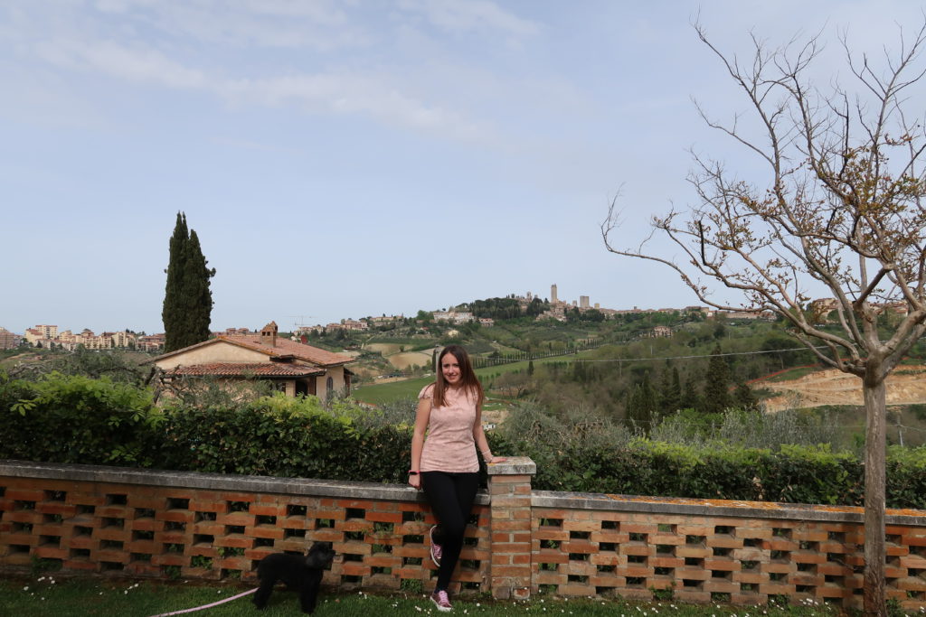 La vista sul borgo di San Gimignano