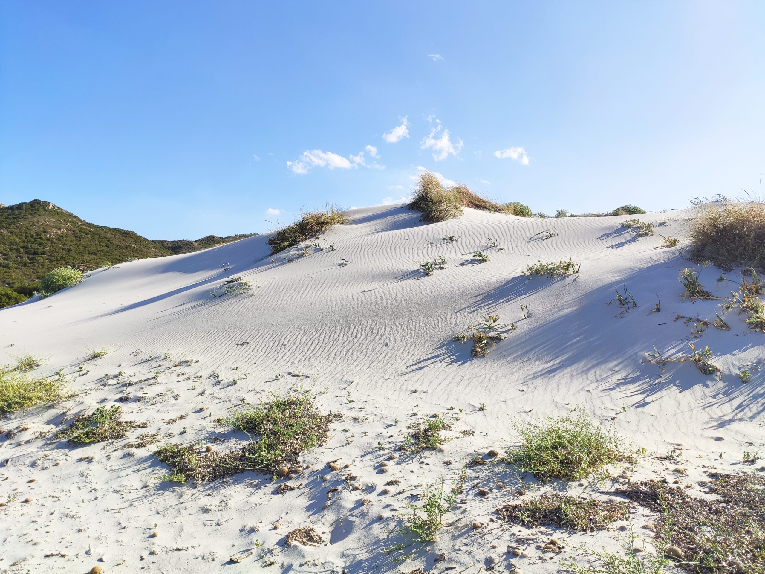 spiagge più belle costa est sardegna: capo comino
