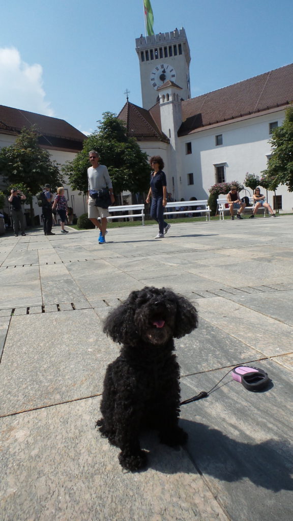 Il Castello di Lubiana con il cane