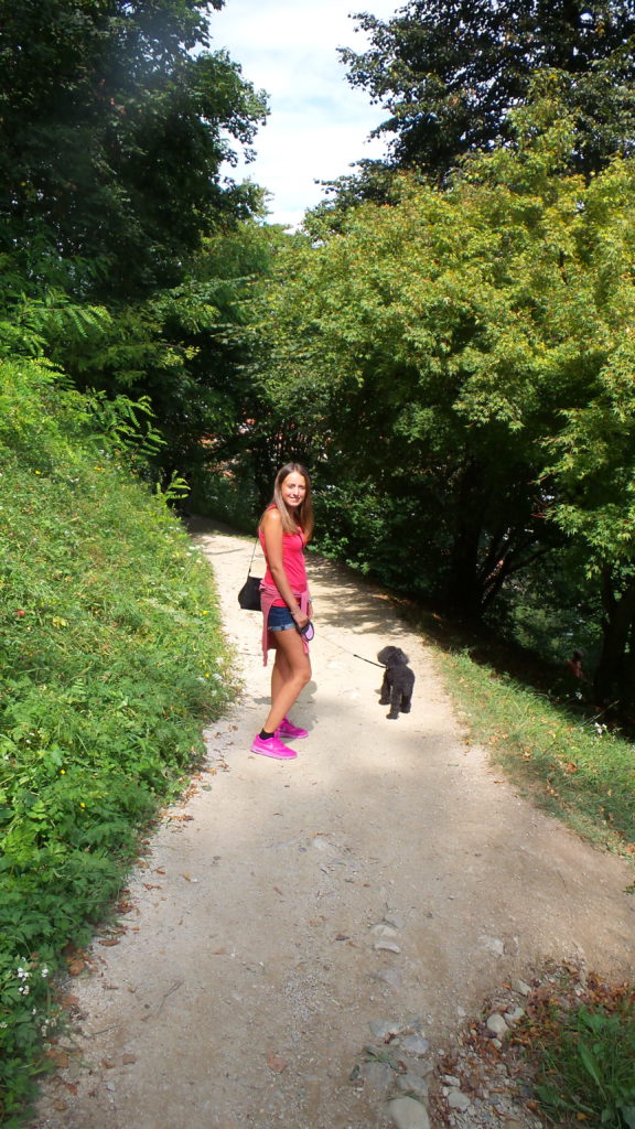 la discesa dal Castello di Lubiana