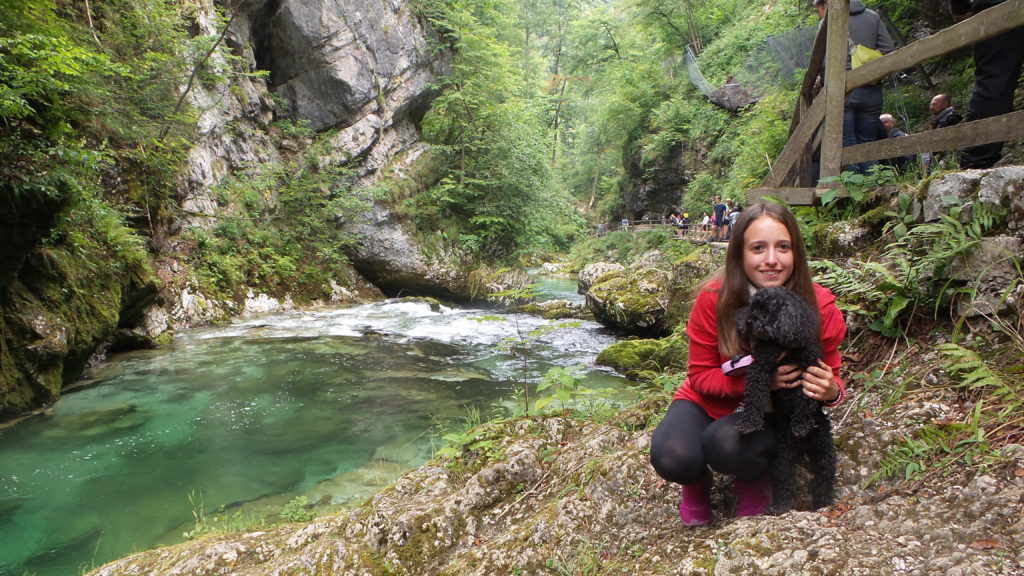 Cosa vedere in Slovenia con il cane: la Gola di Vintgar