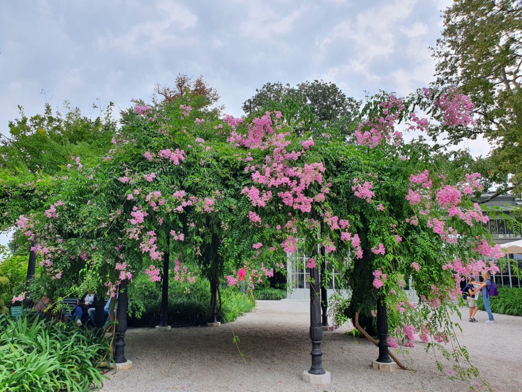 Venezia con il cane: i giardini reali