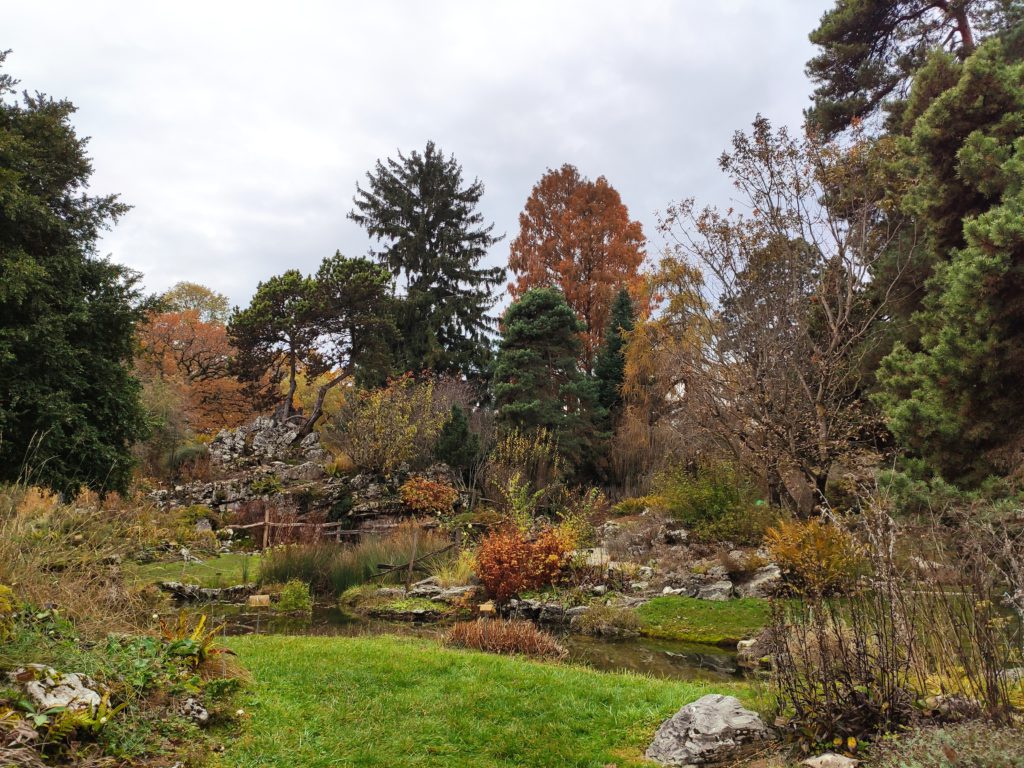 Cosa vedere a Ginevra: il giardino botanico