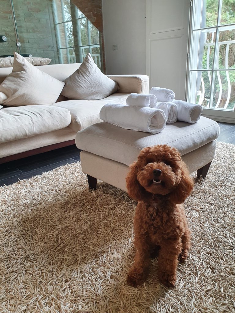 dove dormire a Ferrara con il cane