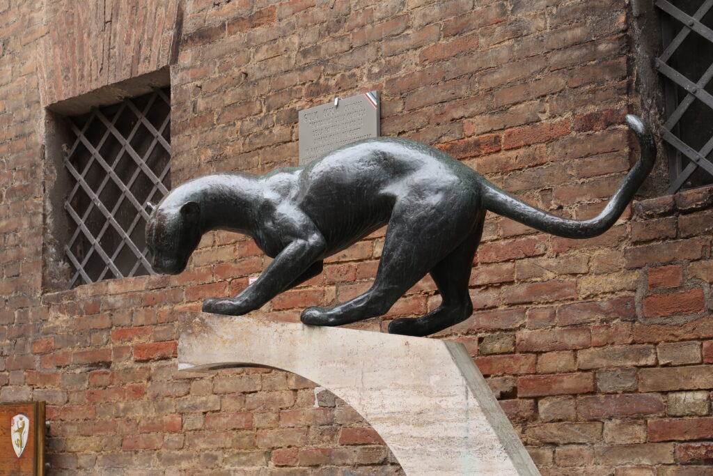 La contrada della pantera