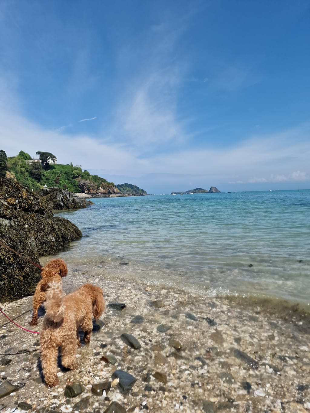 Pausa sulla spiaggia di Cancale con la bassa marea