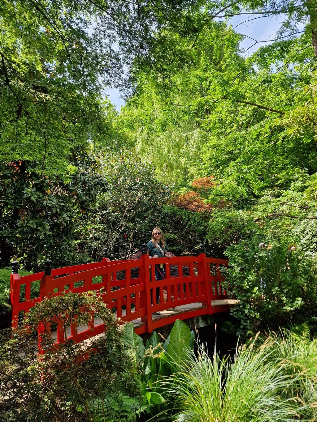 Il ponte rosso in stile giapponese immerso nel verde del Parc Botanique de Haute-Bretagne