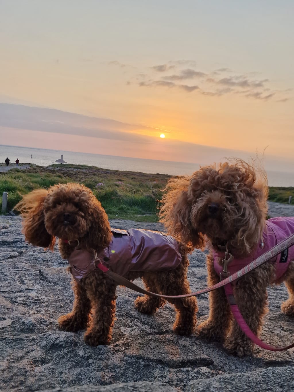 Milly e Penny al tramonto sul sentiero di Pointe du Raz