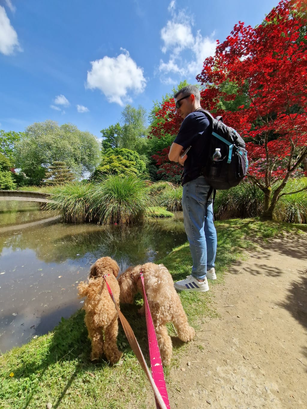 Passeggiata con Milly e Penny tra l'acero rosso e i laghetti del Parc Botanique de Haute-Bretagne