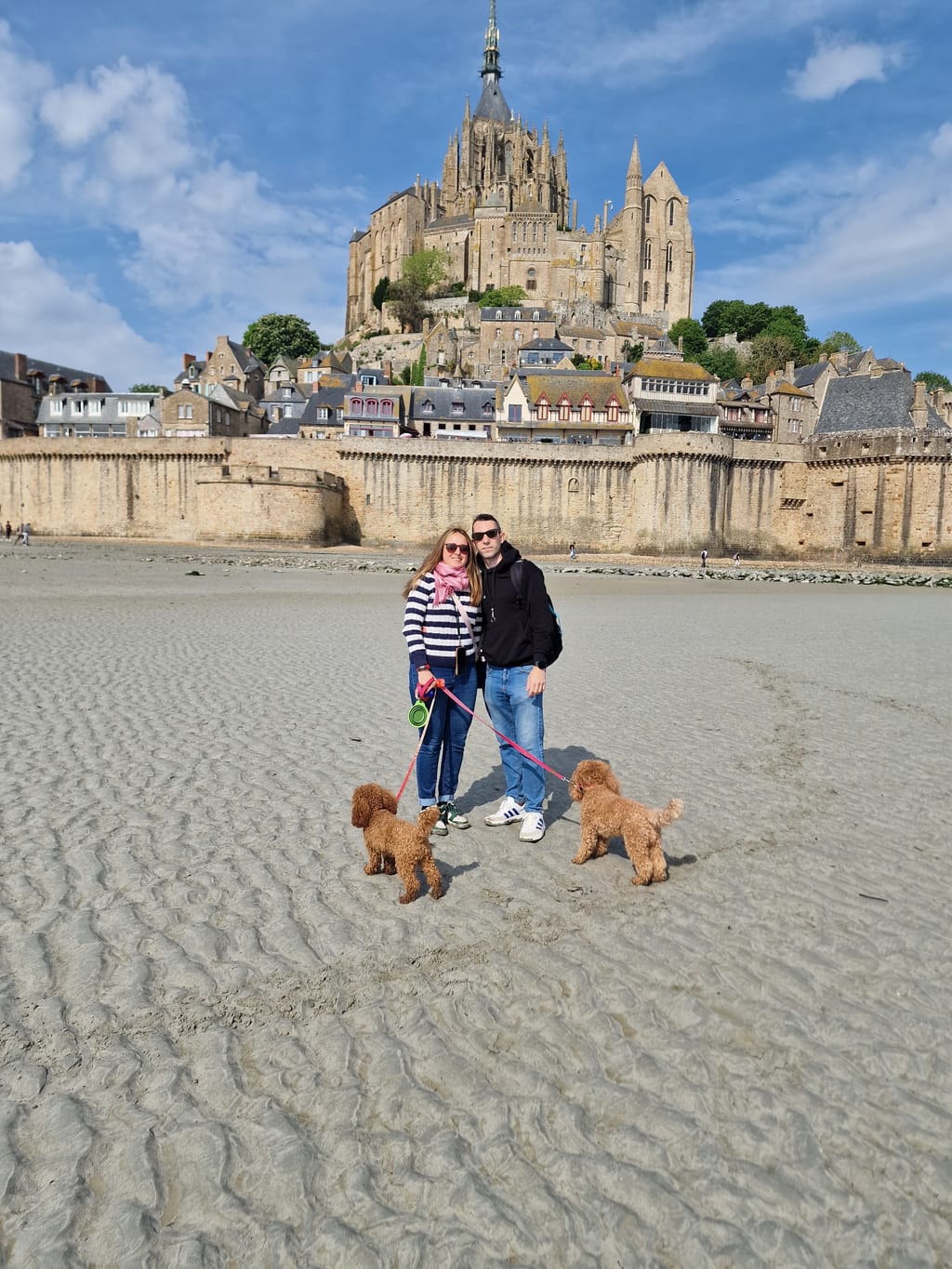Con Milly e Penny sulla sabbia della baia ai piedi del Mont Saint-Michel