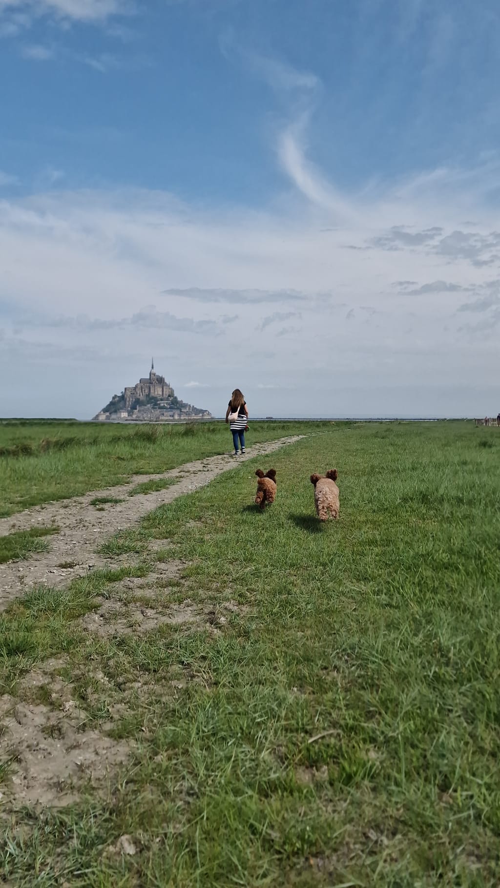 Passeggiata con le cagnoline sui prati della baia, con il Mont Saint-Michel all'orizzonte