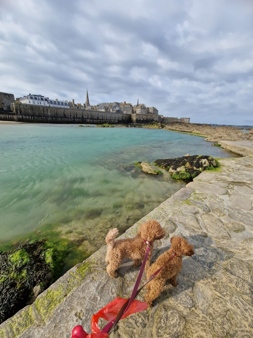 Milly e Penny sugli scogli con l'acqua trasparente e le mura di Saint-Malo sullo sfondo
